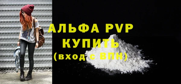 гашик Михайлов