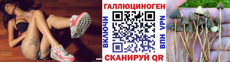 Псилоцибиновые грибы Psilocybine cubensis  Новоуральск 