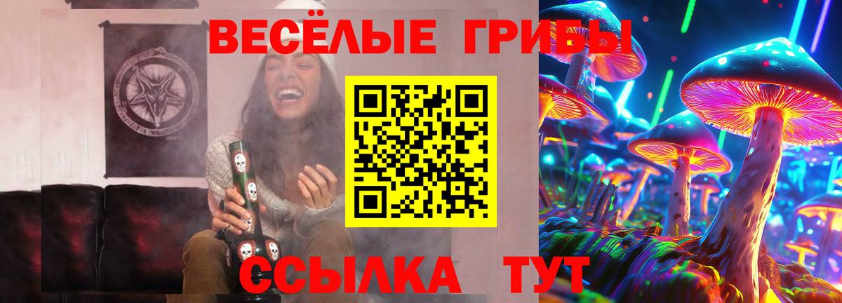 Новоуральск  Псилоцибиновые грибы Cubensis  Галлюциногенные грибы Psilocybe  Вход с VPN 